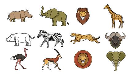 Collection of Various Wild Animal Illustrations.