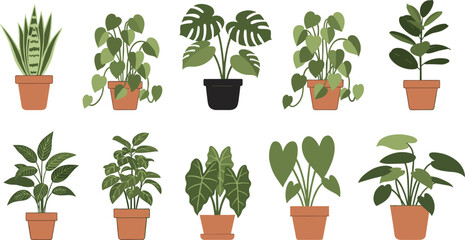 Collection of potted houseplant illustrations featuring popular indoor plants including monstera, snake plant, philodendron, and leafy greenery for home decor and botanical vector design projects. © Sanjida