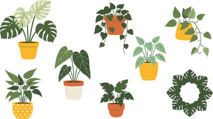 Modern indoor houseplant illustration set featuring monstera, philodendron, hanging vines, leafy potted plants, and decorative greenery elements for home decor and botanical vector design projects. © Sanjida