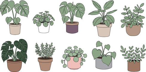 Hand drawn potted houseplant illustration set featuring monstera, pilea, philodendron, and leafy indoor plants, perfect for botanical decor, cozy interiors, and modern vector design projects. © Sanjida