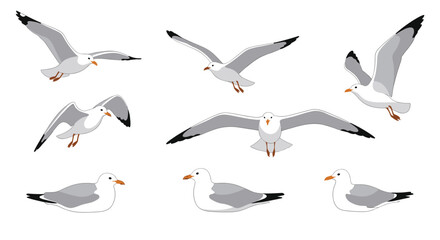 Obraz premium Detailed set of seagulls depicted in various poses including flying soaring and resting showcasing their graceful movements.
