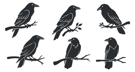 Obraz premium A collection of six crow silhouettes perched on branches in a minimalist black vector style, ideal for nature-themed designs