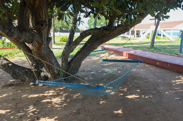hammock in under the tree branches