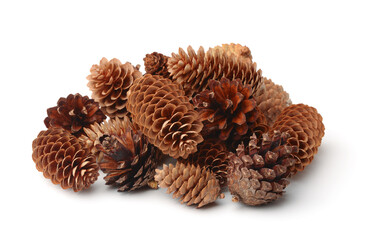 Pile of fir and pine cones