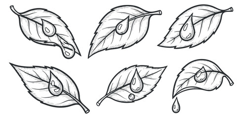 Fototapeta premium A collection of six hand-drawn leaves with water droplets in outline vector style, perfect for nature-themed designs