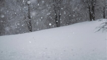 Fototapeta premium Snowfall in a winter forest with trees and snow-covered ground.