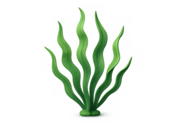 Green underwater plant, a vibrant seaweed clump, growing from the ground. This marine algae element has a transparent background