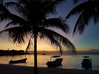 Breathtaking morning scene in Akumal Bay featuring bright yellow and orange sunlight rising over the Caribbean Sea reflecting the calm water.