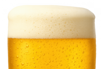 Golden beer creating foam and bubbles in a cold glass, a refreshing lager drink with condensation and froth on transparent background