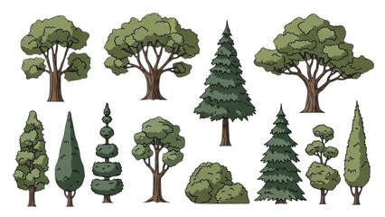 Collection of Various Tree Illustrations Depicting Different Species and Shapes
