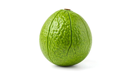 A single green avocado with textured skin, isolated on a white background, showcasing its natural form