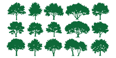 Fototapeta premium collection of green leaves