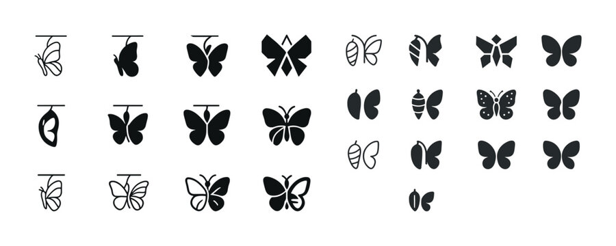Butterfly evolution icons set: stages from cocoon to butterfly