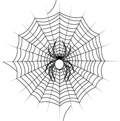 Fototapeta premium Spider Web with Black Spider Centered on Transparent Background