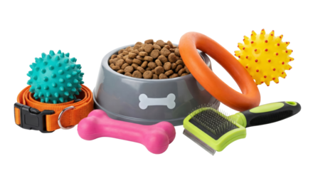 Pet Playful Accessories with Toys and Grooming Tools Isolated Background