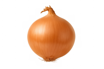 Yellow onion bulb, whole raw vegetable, essential cooking ingredient, healthy organic food for culinary use, transparent background