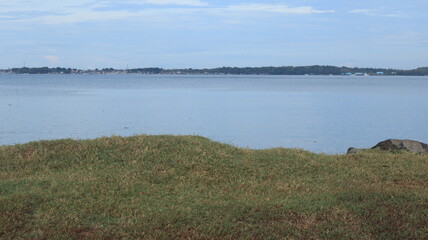 Sea view with green trees on the beach