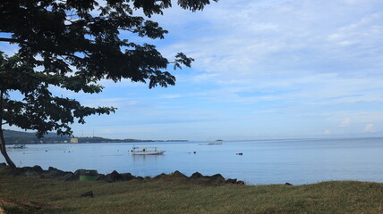 Sea view with green trees on the beach