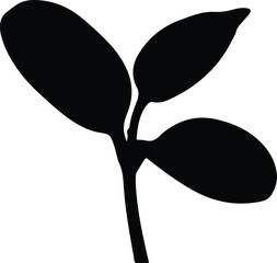 Silhouette of three sprouting leaves on a stem vector illustration