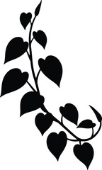 Silhouette vine with heart shaped leaves and bud Vector Illustration