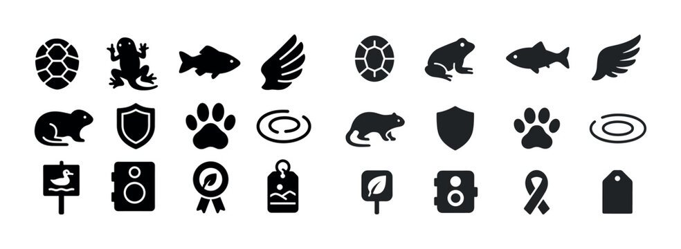 Animal and nature symbols: turtle, frog, fish, wing, rodent, shi