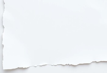 Obraz premium Jagged edges of a white paper scrap, showing fiber texture and light creases, split, distressed