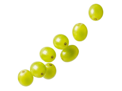 Green grapes falling in a diagonal line on white