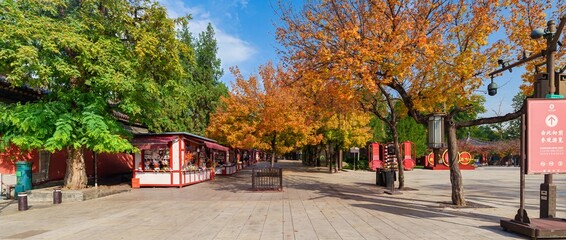 Asia, China, Xi'an, Great Wild Goose Pagoda, 11-November-2025, autumn in the park