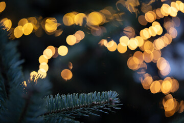 Close-up of a christmas tree with golden bokeh lights.