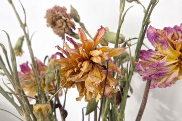 Dried Flowers Arrangement: Rustic Elegance for Home Decor and Art Projects