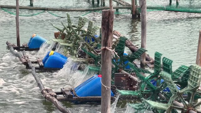 Pond surface shimmers as the aerator turns, producing calm turbulence and lifting light bubbles across the aquaculture pond. Aquaculture aeration scene.