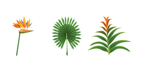 Exotic tropical leaf and pink flower botanical collection with jungle plants, vibrant summer elements, natural floral decoration for eco friendly design and invitations © ShapeAlchemy