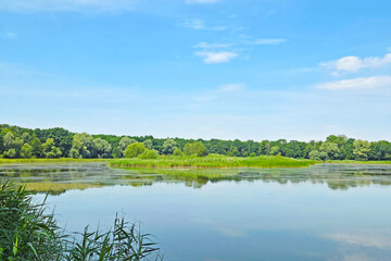 Serene Lake and Lush Landscape for Nature Prints and Posters