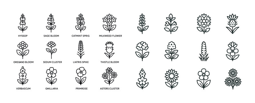 Collection of botanical flower icons featuring various blooming