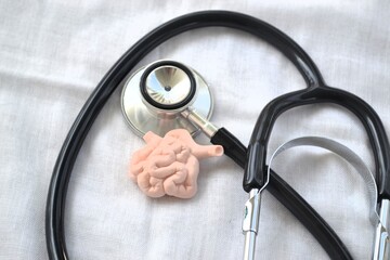 Anatomical heart model wrapped with stethoscope on white fabric surface symbolizing cardiology diagnostics and heart health awareness