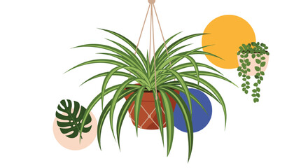 A vibrant spider plant in a hanging macrame planter, alongside other potted plants and abstract colorful circles, for home decor.