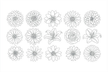 Line drawing flower collection