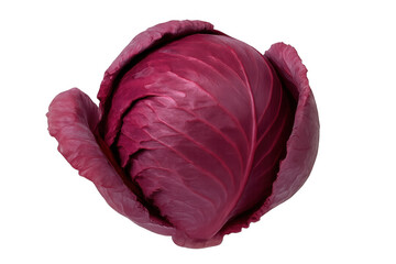 Fototapeta premium Red cabbage, a healthy and crunchy purple vegetable, rich in color and nutrients. Fresh organic produce with a transparent background