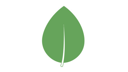 A stylized solid green ovate leaf with a visible central vein on a white background