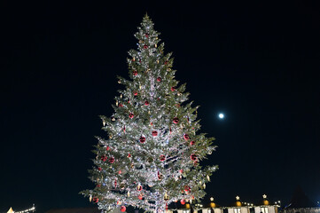 横浜赤レンガクリスマスマーケットのクリスマスツリー