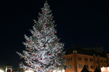 横浜赤レンガクリスマスマーケットのクリスマスツリー