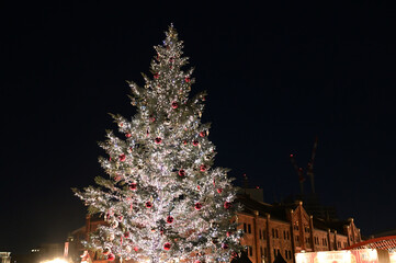 横浜赤レンガクリスマスマーケットのクリスマスツリー