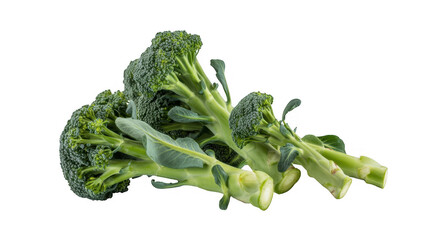 Fresh broccoli green vegetable isolated on a transparent background