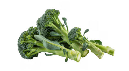 Fresh broccoli green vegetable isolated on a transparent background