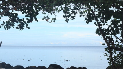 Sea view with green trees frame