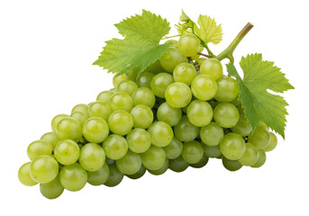 Fototapeta premium Majestic cluster of pale green grapes with waxy bloom and textured leaves, isolated against a seamless transparent studio background, hard directional light. Concept of premium product quality