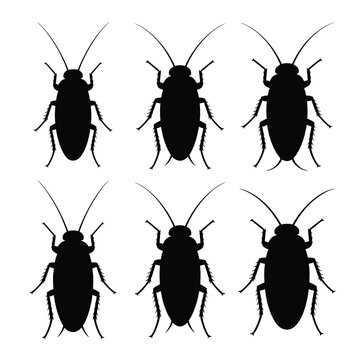 A collection of six black silhouette images depicting cockroaches