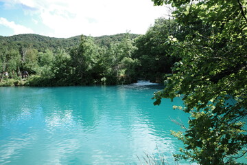 Scenic view of turquoise waters and lush green forest in Plitvice Lakes National Park, Croatia.