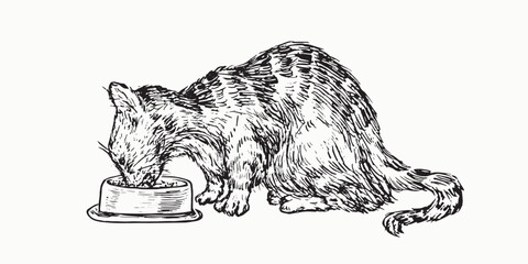 Cat eating from a bowl side view, doodle black ink drawing, woodcut vector