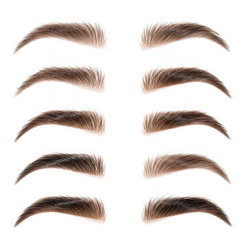 Various eyebrow shapes isolated on transparent background